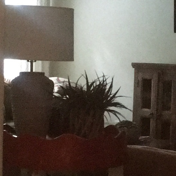 Meet your Posher, Clegg - Picture 1 of 1